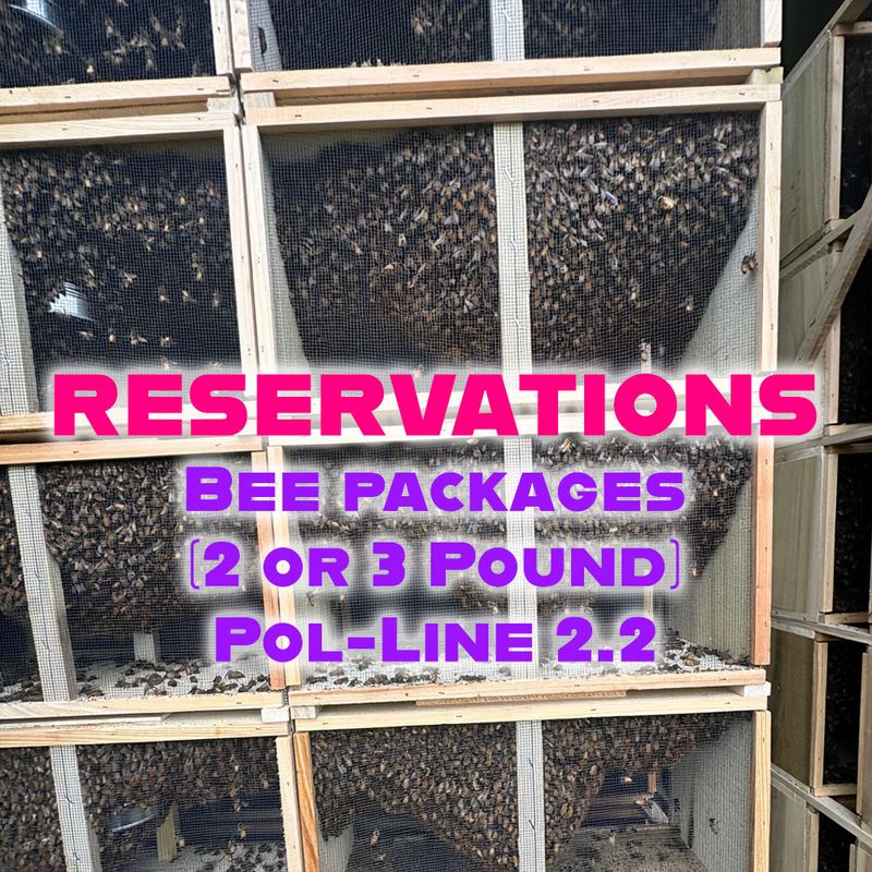 Bee package Reservations - 2 or 3lb - Pol-line 2.2