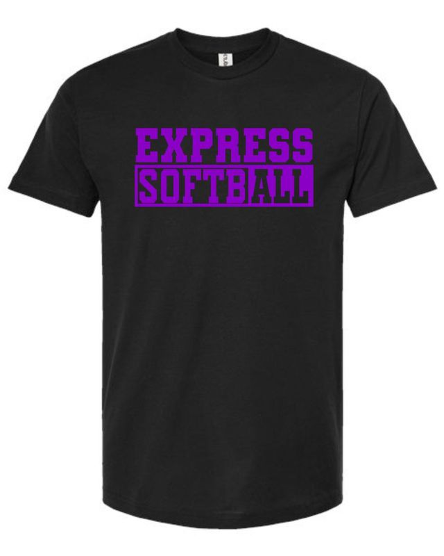 Purple All In Softball - Black Shirt