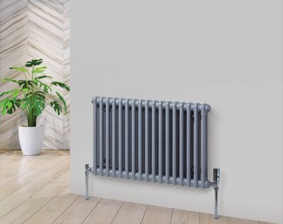 Fitzrovia Horizontal 2 Column Radiator in Colour