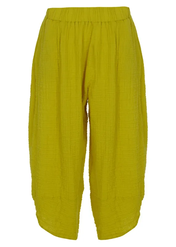 Kozan By Wild Curves: Cotton Comfort Hayes Pant Front