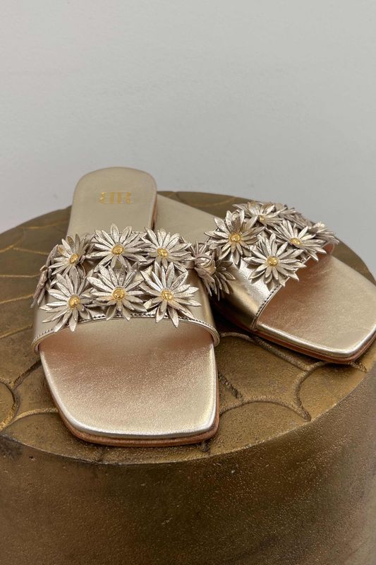 BLACKROSE SLIDES EDEN