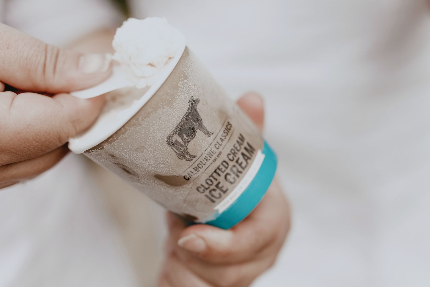 Mixed Case Ice Cream Mini Tubs