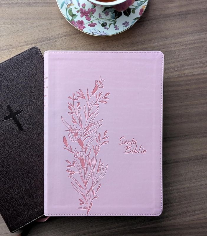 Biblia de referencia en la columna central NTV, letra grande con Filament, SentiPiel, Rosa (Free Shipping)