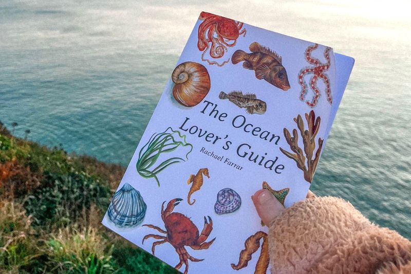 the ocean lover's travel guide