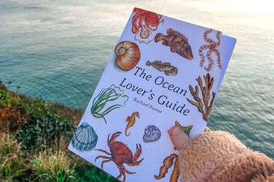 the ocean lover's travel guide