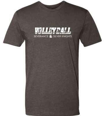 Volleyball with Player Silhouettes