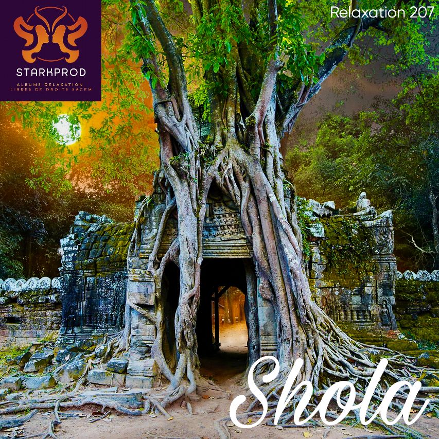 Album Relaxation N°207 Shola style Ayurvédique