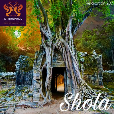 Album Relaxation N°207 Shola style Ayurvédique