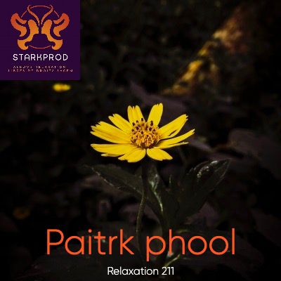 Album Relaxation N°211 Paitrk Phool Ayurvedique