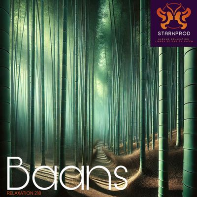 Album Relaxation N°218 Baans style Asie