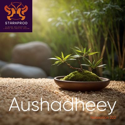 Album Relaxation N°222 Aushadheey style Asie