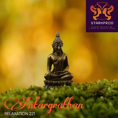 Album Relaxation N°221 Antargrathan style Ayurvedique