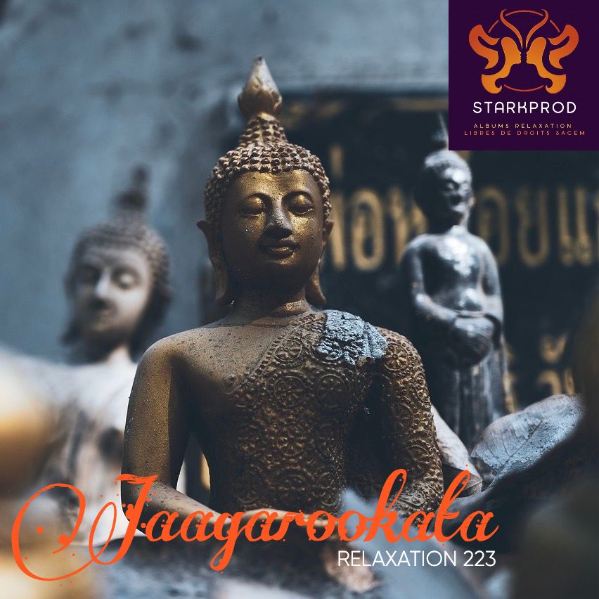 Album Relaxation N°223 Jaagarookata Ayurvedique