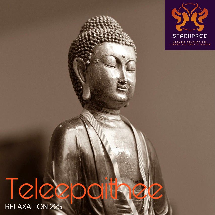 Album Relaxation N°225 Teleepaithee Ayurvedique