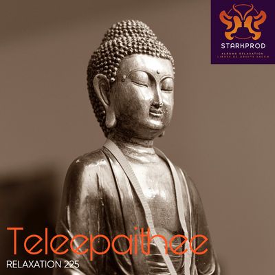 Album Relaxation N°225 Teleepaithee Ayurvedique