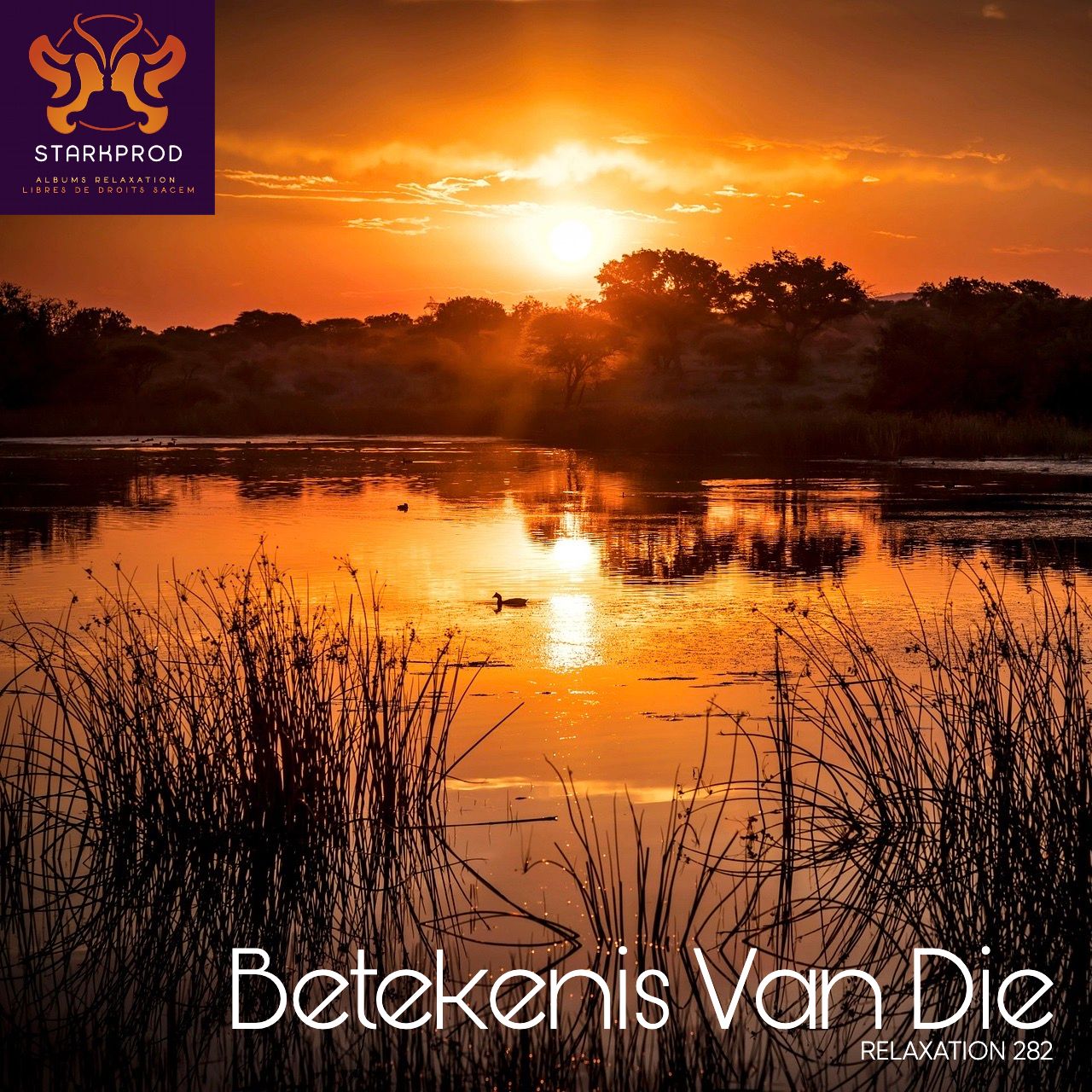 Album Relaxation N°282 Betekenis Africa