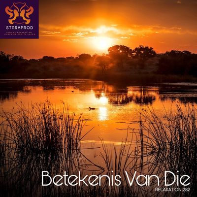 Album Relaxation N°282 Betekenis Africa