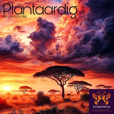 Album Relaxation N°286 Plantaardig Africa