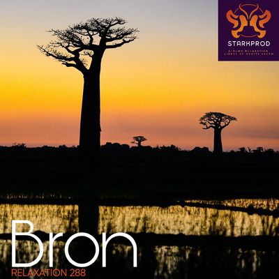 Album Relaxation N°288 Bron Africa