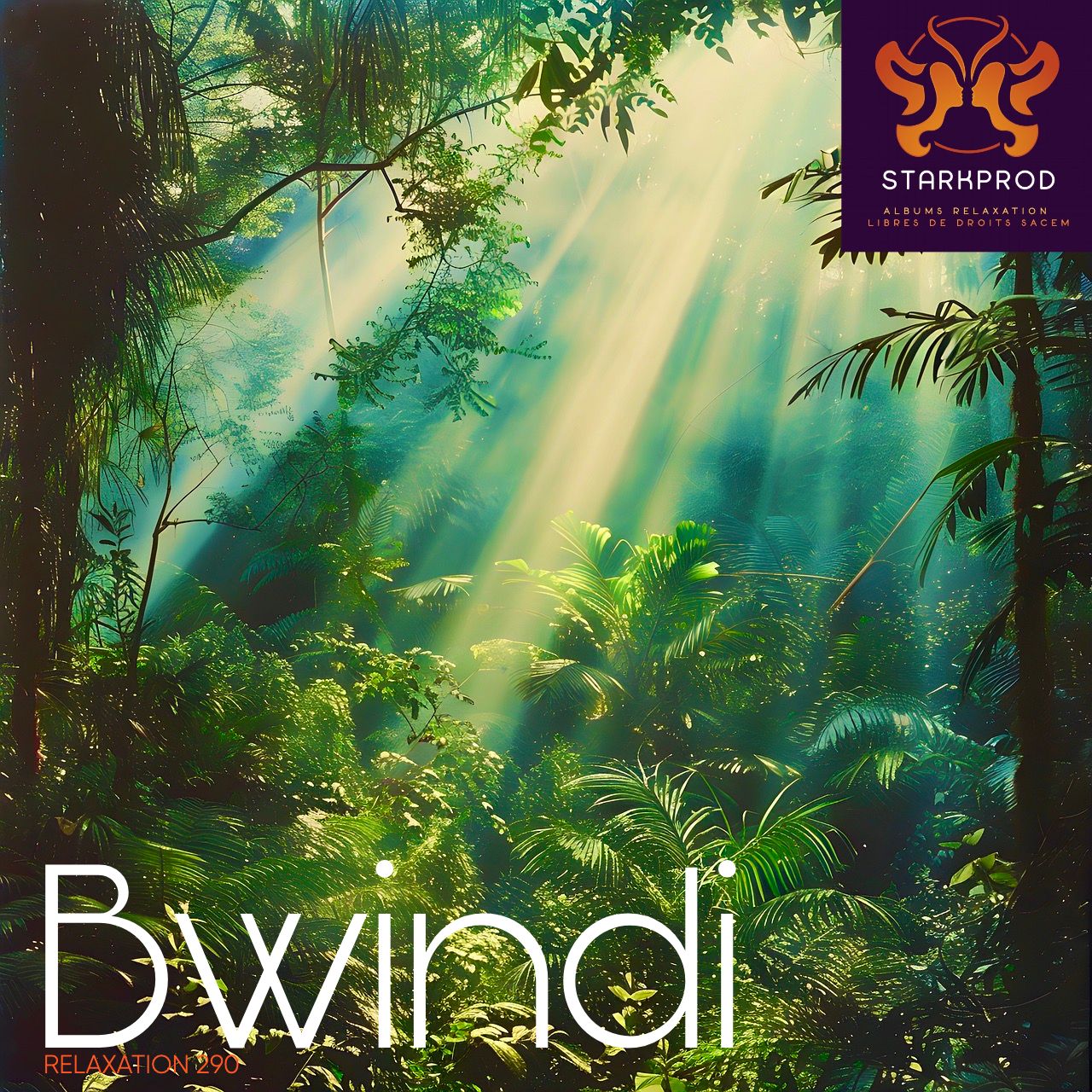 Album Relaxation N°290 Bwindi Africa