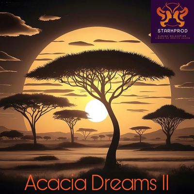 Album Relaxation N°314 Acacia Dreams II Africa