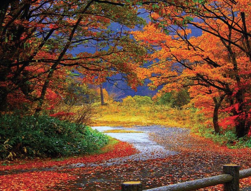 The Beautiful Colors of the Autumn The Beautiful Colors of the Autumn