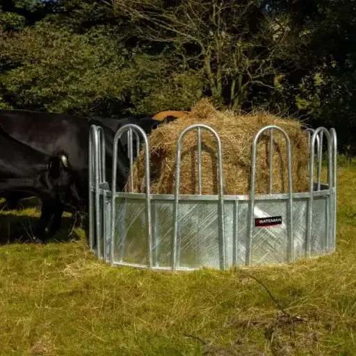BATEMAN Tombstone Cattle Ring