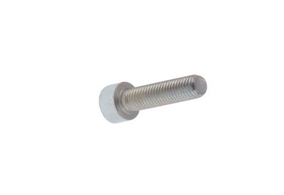 10x30mm Screw