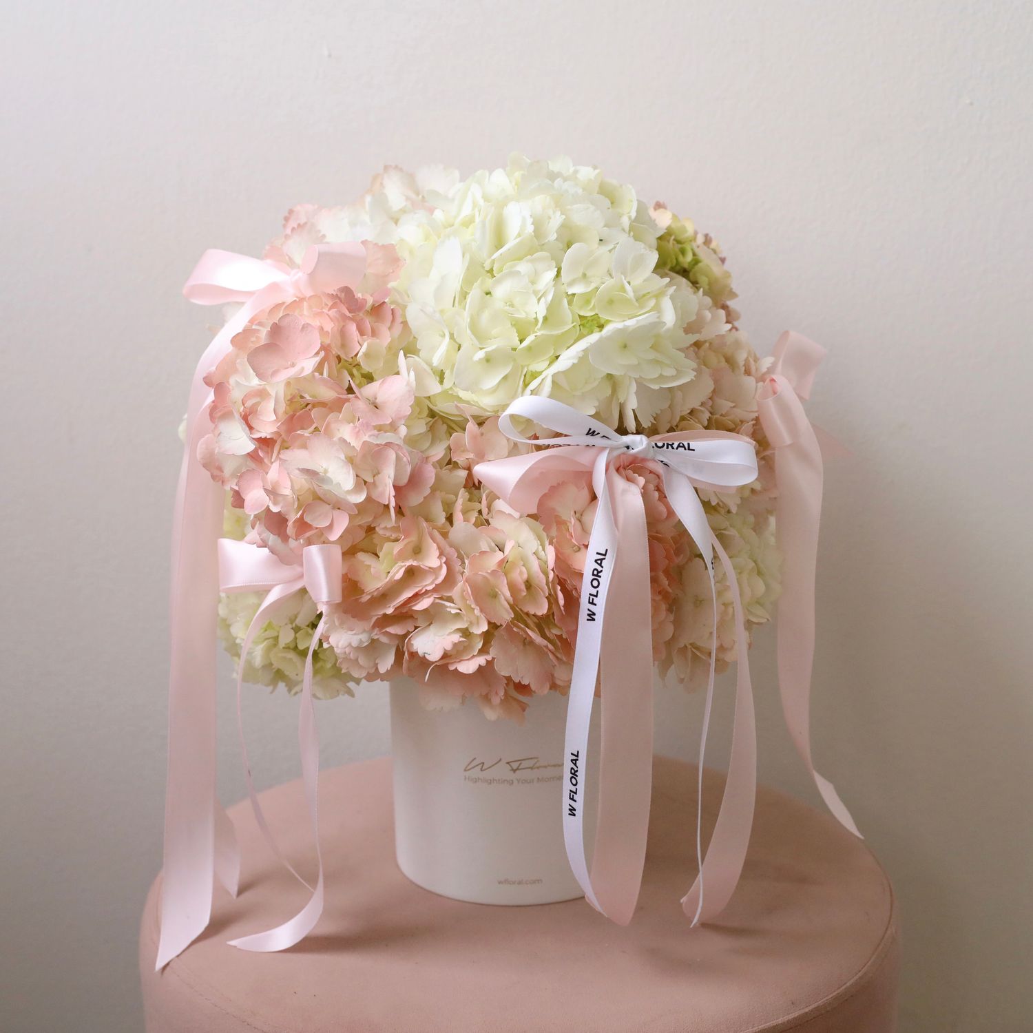 Blush Cloud Hydrangea Hug