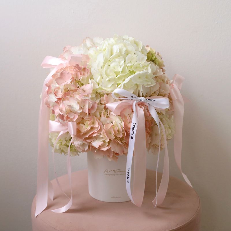 Blush Cloud Hydrangea Hug