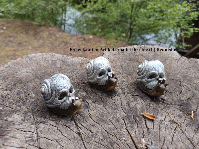 "Snull"  kleine Totenkopf Rennschnecke (Weiß)