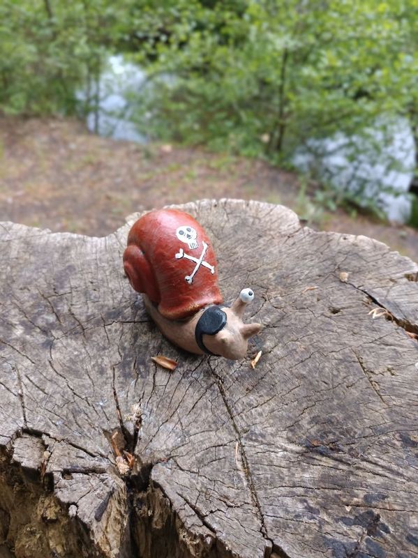 Piraten Rennschnecke