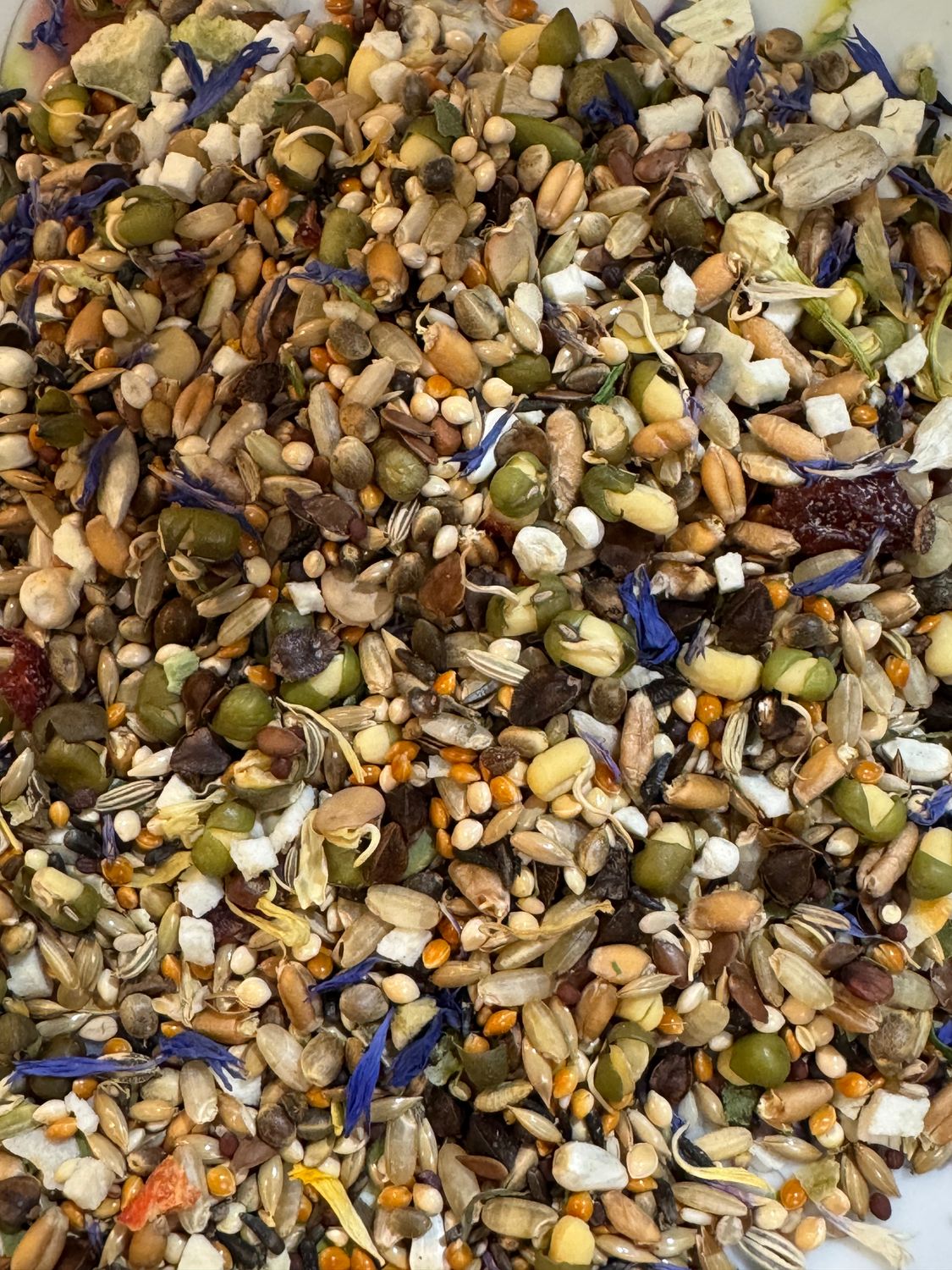It's Bliss-Dry Meal Medley plus even more Micrograin Sprouts - this combo a ready to serve Dry Meal that is unique, diverse, healthy, and convenient! For all small and some medium birds such as greys.