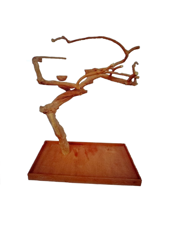 AE200M Java Tree with dimensions of 48" x 28" x 66" with Shipping