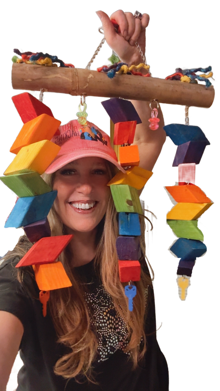 Medium Bamboo &amp; Pine Windchime Toy for Large Size Birds by Ammerman Cage &amp; Equipment