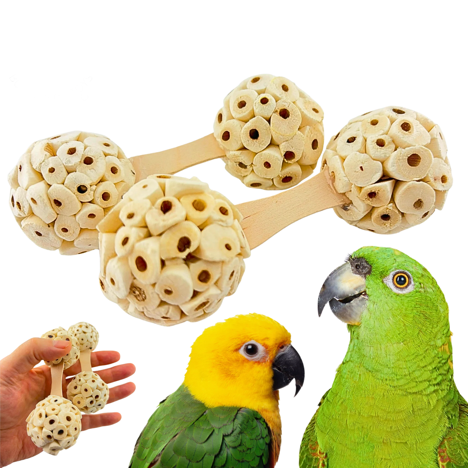 2 Pack Sola Natural Dumbell by Bonka Bird Toys