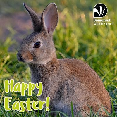 Digital Greetings Cards