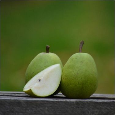 Alexander Lucas Winterbirne ,| Altländer Birnen Kl.I,  zur Abholung oder Versand!