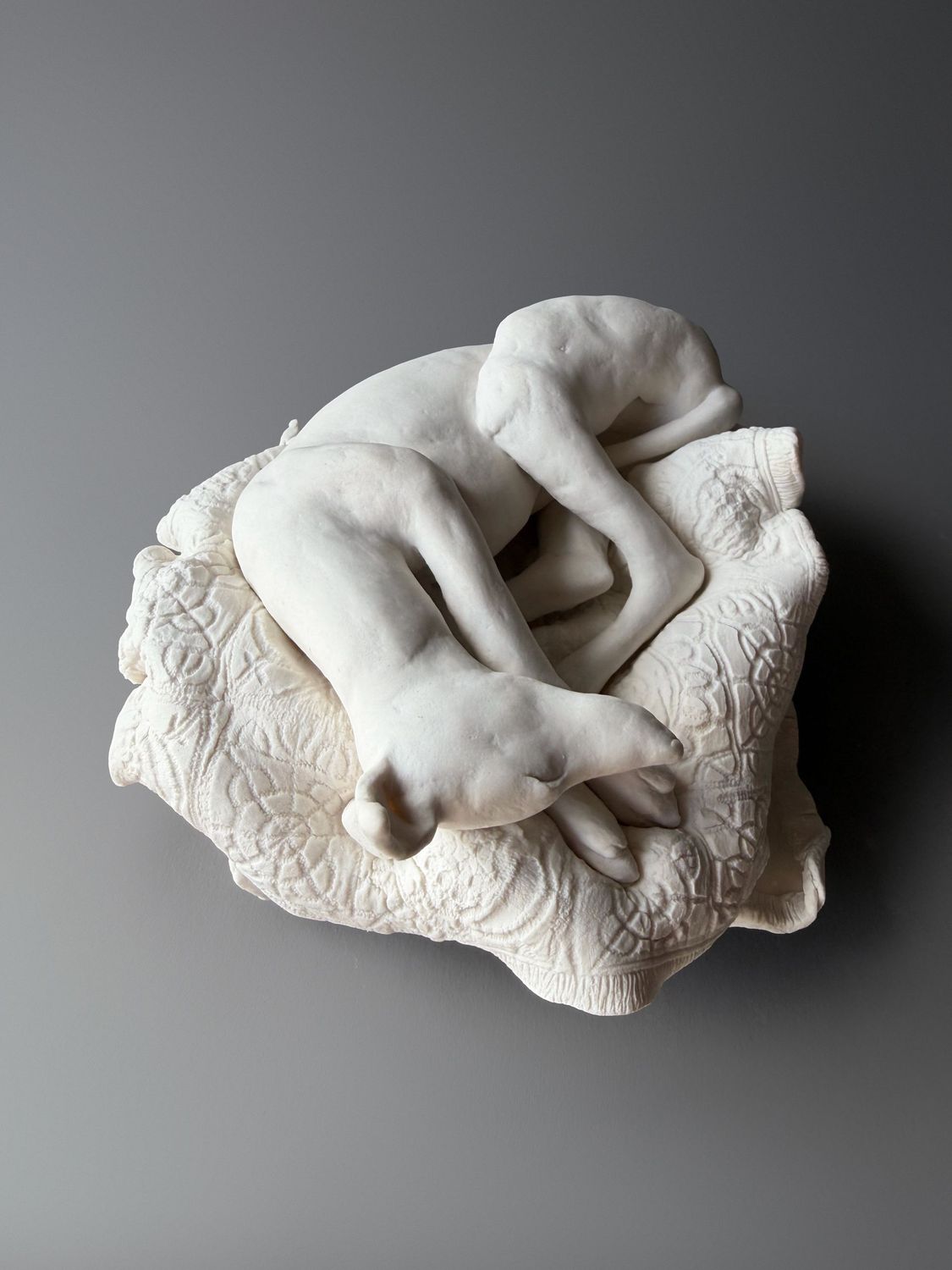 porcelain dreaming hound