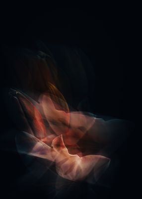 After Dark, They Open -3