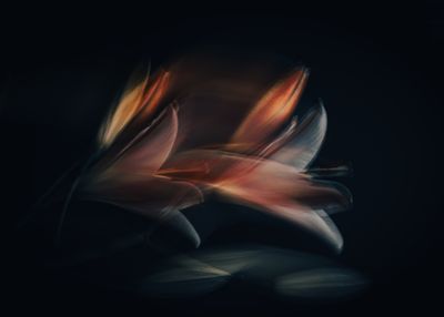 After Dark, They Open -1