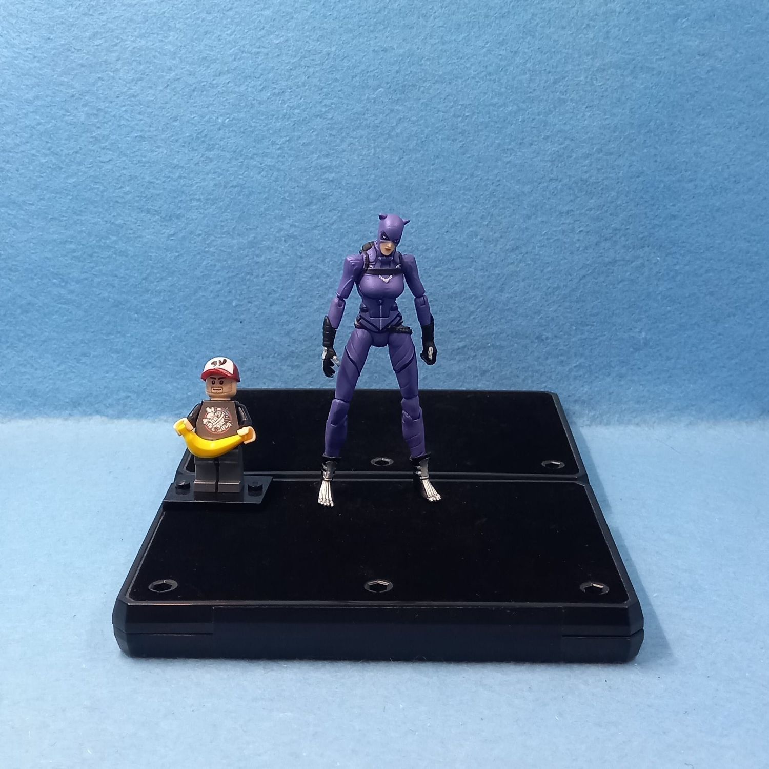 DC UNIVERSE CLASSICS CATWOMAN (P/O)