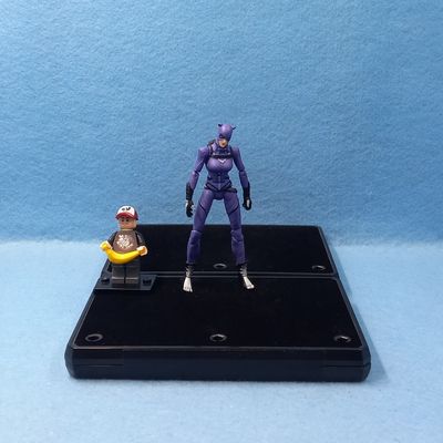 DC UNIVERSE CLASSICS CATWOMAN (P/O)