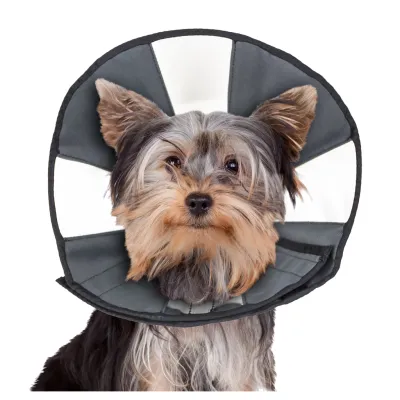 Zenpet Procone S – Halskrause – Schutz – Genesung