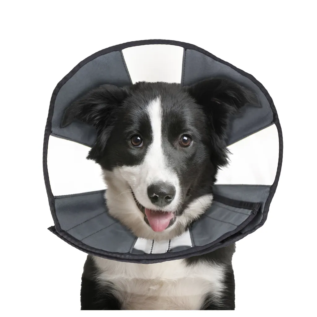 Zenpet Procone L – Halskrause – Schutz – Genesung