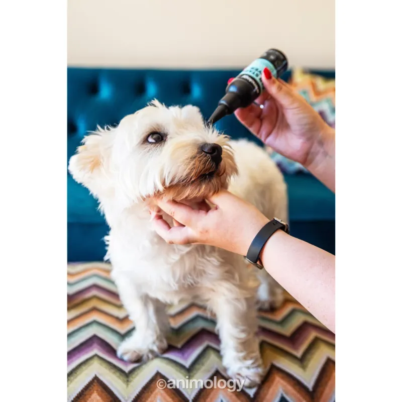Animology Tear Stain Remover 100 ml – Tränenfleckenentferner – Hunde