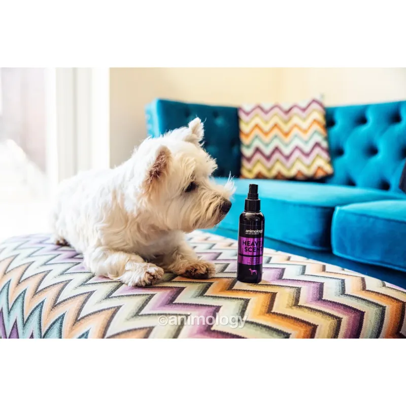 Animology Heaven Scent Body Mist 150 ml – Deodorant – Hunde