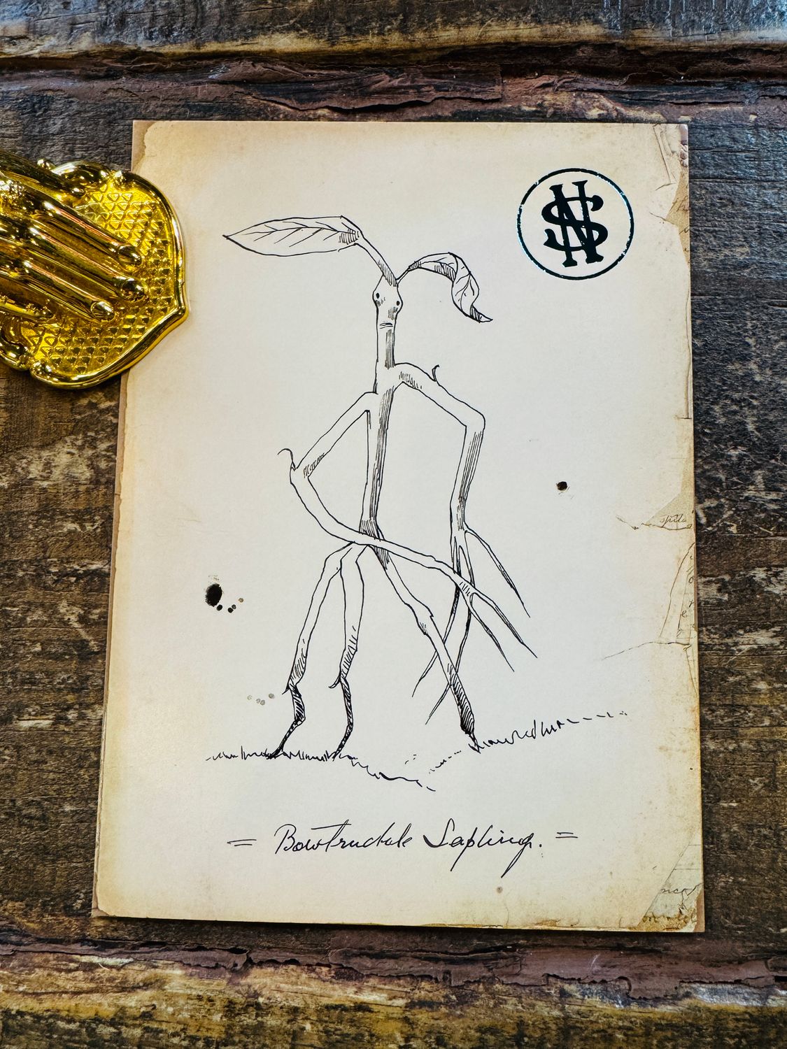 POSTAL CRIATURAS MAGICAS BOWTRUCKLE MINALIMA