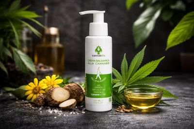 Massage meets cannabinoids: scientific evidence and practical applications