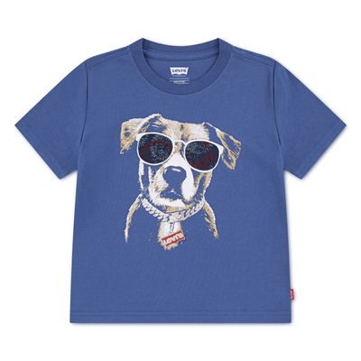 Boys Levi's T-Shirt (6EP645)